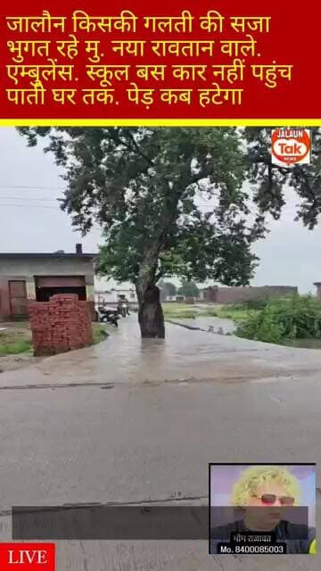 jalaun.. ye ped kab hatega