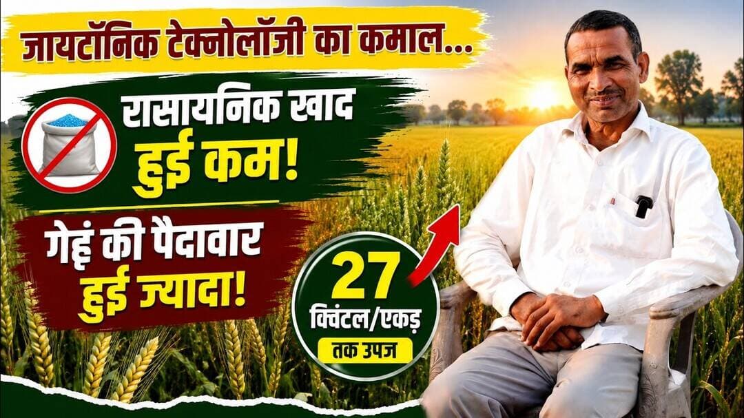 Success Story: रासायनिक खेती छोड़ जैविक खेती कर रहा किसान, जायटॉनिक टेक्नोलॉजी आधारित जैविक उत्पाद