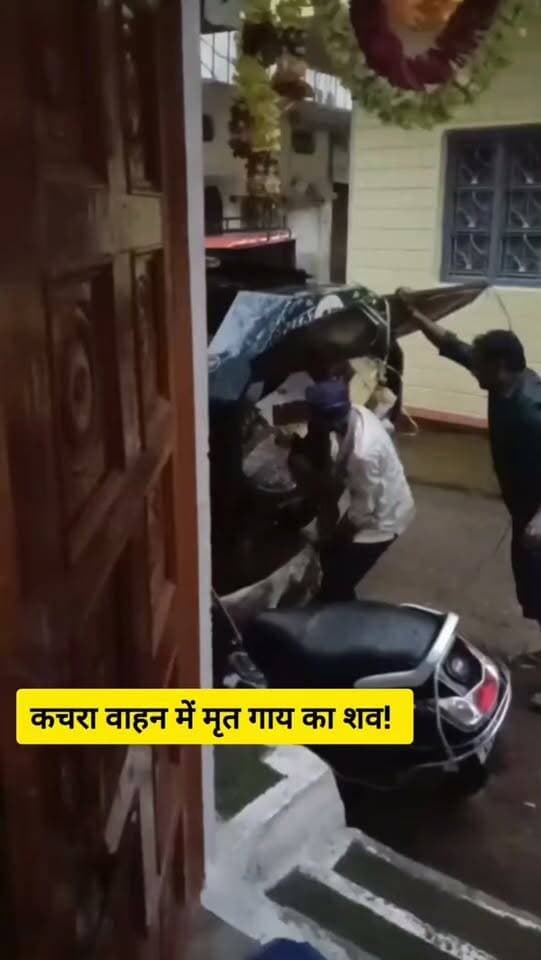 कचरा वाहन में मृत गाय का शव! छतरपुर में वायरल वीडियो ने नगरपालिका की व्यवस्था पर उठाए सवाल
आप इस मामले को कैसे देखते हैं? अपनी राय कमेंट में बताएं।
#Chhatarpur #ChhatarpurNews #BundeliBhaukaalNews #MadhyaPradesh #ViralVideo