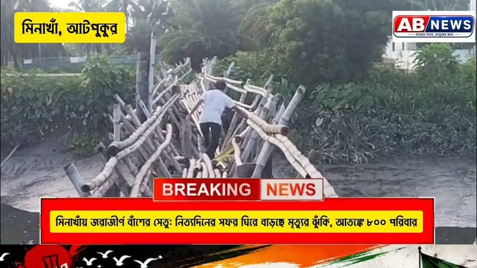 মিনাখাঁয় জরাজীর্ণ বাঁশের সেতু: নিত্যদিনের সফর ঘিরে বাড়ছে মৃত্যুর ঝুঁকি, আতঙ্কে ৮০০ পরিবার
#viralvideochallenge #PostViral #BJP