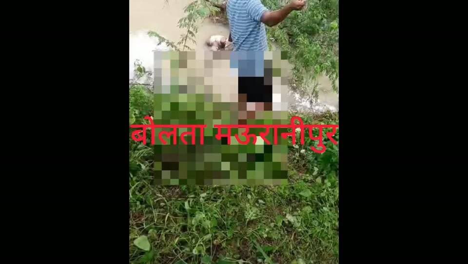 गुरसराय के ग्राम सिंगार में बारिश के तेज बहाव में 75 वर्षीय किशोरी लाल नाले में बह गए। रातभर तलाश के बाद गुरुवार सुबह उनका शव नाले में फंसा मिला। पुलिस ने शव कब्जे में लेकर कार्रवाई शुरू कर दी है।