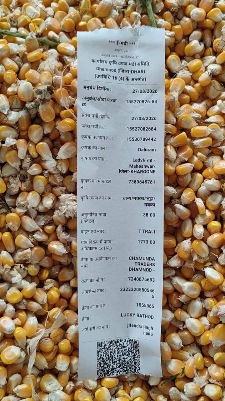 आज धामनोद मंडी में नई गीली मक्का का भाव इस प्रकार रहा...
Dhamnod Mandi Bhav - धामनोद मंडी भाव #dhamnodmandibhav #makkakabhav #makkamandibhav #mandinews #naimakka #dhamnodmandi