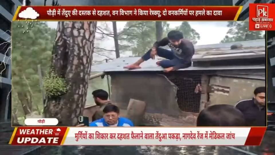 #चिकन का सौकीन शिकारी गुलदार मुर्गी बाड़े में खुद हो गया शिकार,पौड़ी में तेंदुए की दस्तक से दहशत,#वन विभाग ने किया रेस्क्यू; दो वनकर्मियों पर किया गुलदार ने हमले