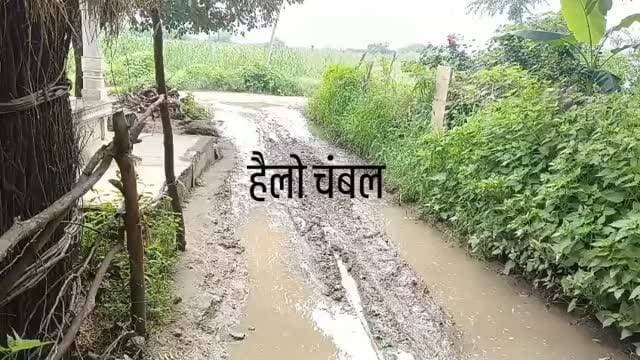 🎥 मुरैना: बदहाल सड़क से ग्रामीण और मरीज परेशान।
मुरैना जिले के ग्राम पंचायत विंडवा देवगढ़ के ग्राम देवगढ़ में सड़क की हालत बेहद खराब बनी हुई है। बारिश के बाद सड़क पर पानी और कीचड़ भर जाने से लोगों का आवागमन मुश्किल हो जाता है। सबसे बड़ी समस्या यह है कि सड़क के सामने ही अस्पताल स्थित है, जिससे मरीजों और उनके परिजनों को भारी परेशानी का सामना करना पड़ रहा है। एंबुलेंस सहित अन्य वाहनों की आवाजाही भी प्रभावित होने की आशंका बनी रहती है।
ग्रामीणों ने पंचायत और प्रशासन से मांग की है कि सड़क की जल्द मरम्मत कर जलभराव की समस्या का स्थायी समाधान किया जाए, ताकि आमजन और मरीजों को राहत मिल सके।