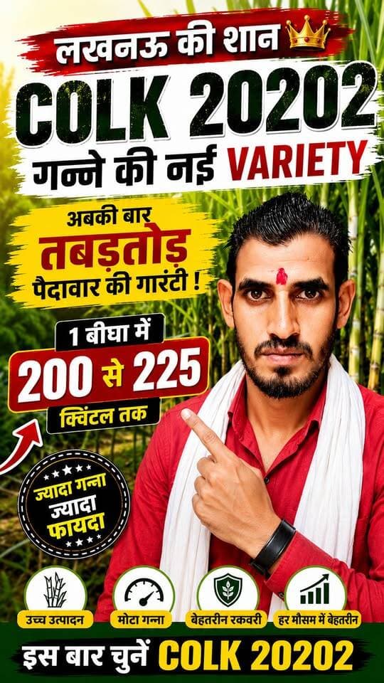 200 नहीं… 225 क्विंटल! 😱 COLK 20202 गन्ने की नई किस्म | ताबड़तोड़ पैदावार 🔥
#COLK20202 #गन्ना #गन्नाकीकिस्म #Sugarcane #SugarcaneFarming #गन्नाकीखेती