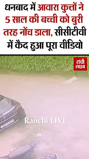 धनबाद में आवारा कुत्तों ने 5 साल की ब च्ची को बु'री तरह नों'च डाला, सीसीटीवी में कैद हुआ पूरा वीडियो, देखकर रौंगटे खड़े हो जायेंगे