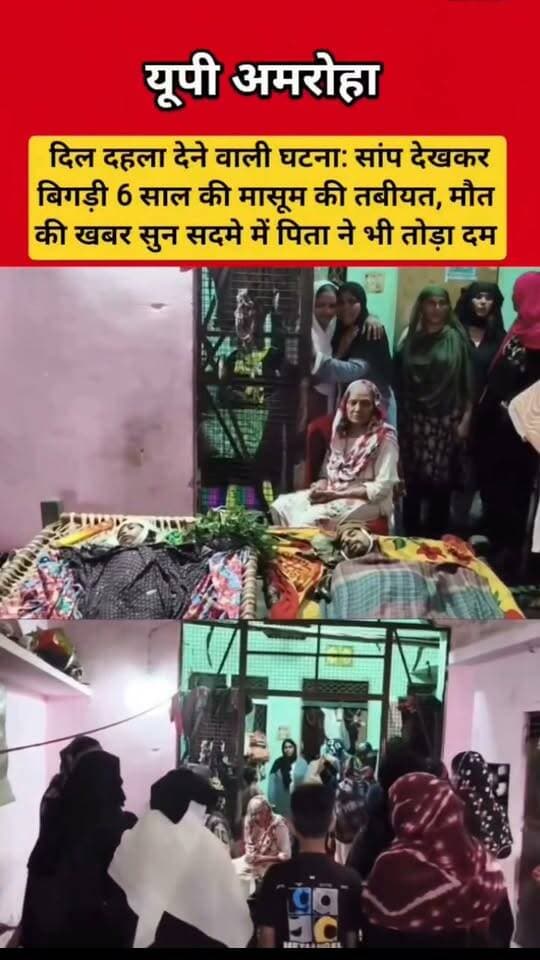 सांप देखने के बाद 6 साल की बच्ची की बिगड़ी हालत, इलाज के दौरान मौत; सदमे में पिता ने भी तोड़ा दम