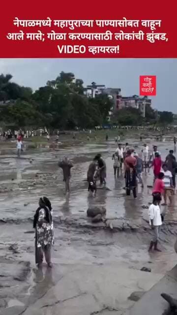 नेपाळमध्ये महापुराच्या पाण्यासोबत वाहून आले मासे; गोळा करण्यासाठी लोकांची झुंबड, VIDEO व्हायरल!