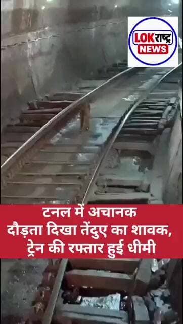 ट्रेन और तेंदुए के शावक के बीच बना संवेदनशील पल, VIDEO वायरल