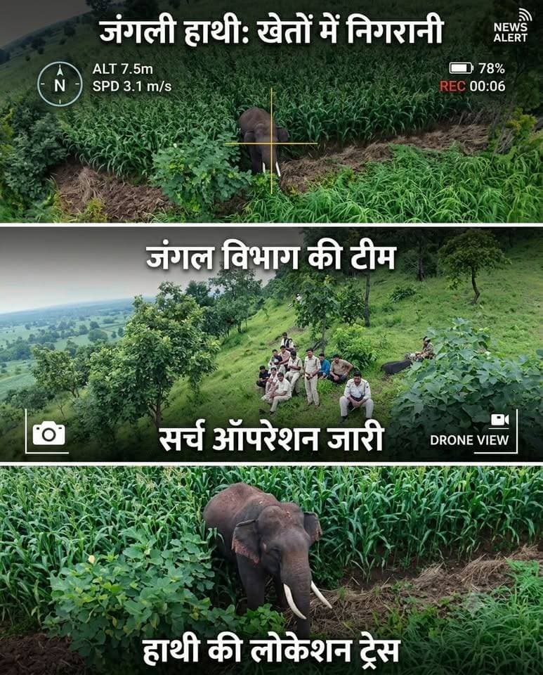 सिवनी: पायली कला के खेतों में जंगली हाथी का खौफ!
🔹 फसलों पर भारी नुकसान का खतरा।
🔹 वन विभाग ड्रोन कैमरों से रख रहा है पल-पल की नजर।
⚠️ अलर्ट: वन विभाग ने ग्रामीणों को खेतों और जंगल की ओर अकेले न जाने की सलाह दी है।
#seoni #seoninews #mppolice #forestdepartment #wildelephant #paylikala #mpnews #elephantalert #farmers #viralnews #reelsindia #newsupdate Rajneesh Harvansh Singh Dinesh Rai Munmun