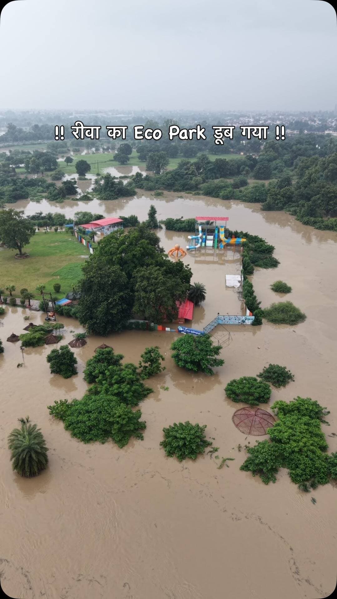 रीवा का eco park डूब गया
#rewa
#mansoon
#rewa__city__mp17
#explorepage