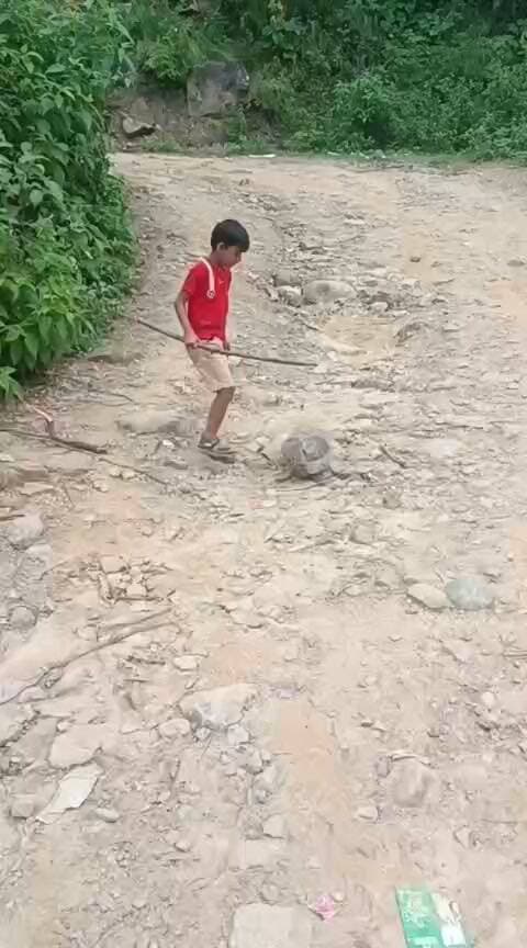 छोटे बालक की बड़ी सीख: धार्मिक यात्रा के रास्ते में पत्थर हटाने लगा मासूम
स्क्रिप्ट
सुरसंड का एक मासूम बालक इन तस्वीरों के जरिए समाज को बड़ी सीख देता नजर आ रहा है। धार्मिक यात्रा के दौरान जब वह लंगूर खोल जाने वाले रास्ते से गुजर रहा था, तभी उसकी नजर रास्ते में पड़े एक बड़े पत्थर पर पड़ी।
बालक ने किसी के कहने या निर्देश देने का इंतजार नहीं किया। अपनी प्रेरणा से उसने पहले पत्थर को हाथों से हटाने का प्रयास किया और फिर पास पड़ी लकड़ी की मदद से उसे रास्ते से हटाने में जुट गया।
पत्थर भले ही बड़ा था और बालक छोटा, लेकिन उसके हौसले के सामने वह पत्थर भी छोटा पड़ गया। यह दृश्य हमें सिखाता है कि समाज और रास्ते को बेहतर बनाने के लिए उम्र नहीं, बल्कि अच्छी सोच और पहल की जरूरत होती है।
इस मासूम की छोटी-सी पहल उन सभी लोगों के लिए प्रेरणा है, जो किसी समस्या को देखकर आगे बढ़ने के बजाय दूसरों का इंतजार करते हैं।
एक बालक की यह छोटी कोशिश, समाज के लिए बहुत बड़ी सीख है—
“जहाँ रास्ते में बाधा दिखे, वहाँ शिकायत नहीं, समाधान की पहल करें।”