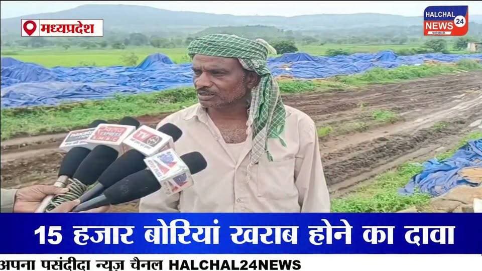 पानी में सड़ा हजारों क्विंटल सरकारी धान, खुले स्टेक में उगी फसल लाखों के नुकसान का दावा
डिंडौरी जिले के वेयर हाउस निगवानी में खुले में रखी सरकारी धान के बारिश में भीगकर खराब होने का मामला सामने आया है। यहां ओपन स्टेक में रखी कई बोरियां सड़ चुकी हैं, जबकि कुछ बोरियों में धान के अंकुर निकल आए हैं। बड़ी मात्रा में अनाज खराब होने से सरकारी संपत्ति को लाखों रुपये के नुकसान की आशंका जताई जा रही है।
जानकारी के मुताबिक वेयर हाउस में करीब 75 ओपन स्टेक बनाए गए हैं, जिनमें प्रत्येक स्टेक में लगभग 300 बोरी धान रखी गई है। मजदूरों के अनुसार करीब 15 हजार बोरियां खराब होने की बात सामने आई है। हालांकि नुकसान की वास्तविक मात्रा और आर्थिक क्षति का आधिकारिक आकलन अभी सामने आना बाकी है।
खराब और सही धान की हो रही छंटाई
बारिश के बाद अब मजदूर खराब और उपयोग योग्य धान को अलग-अलग करने में जुटे हैं। छंटाई के बाद जो धान उपयोग योग्य बच रही है, उसे मिलों तक भेजा जा रहा है। वहीं बड़ी संख्या में सड़ी और अंकुरित धान सरकारी अनाज के रखरखाव की व्यवस्था पर गंभीर सवाल खड़े कर रही है।
बारिश के मौसम में खुले में क्यों रखा गया अनाज?
सबसे बड़ा सवाल यह है कि बारिश के मौसम में इतनी बड़ी मात्रा में सरकारी धान को खुले स्टेक में रखने की नौबत क्यों आई? अनाज को बारिश और नमी से बचाने के पर्याप्त इंतजाम क्यों नहीं किए गए? और जब धान खराब होने लगी तो जिम्मेदार अधिकारियों ने समय रहते इसकी रोकथाम के लिए क्या कदम उठाए?
मामले में जिम्मेदारी तय करने और नुकसान का वास्तविक आकलन किए जाने की जरूरत है। यदि लापरवाही सामने आती है तो संबंधित जिम्मेदारों पर कार्रवाई की मांग भी उठ सकती है।
फिलहाल निगवानी वेयर हाउस में धान की छंटाई जारी है। अब निगाह प्रशासन की जांच और इस बात पर है कि सरकारी अनाज की बर्बादी के लिए जिम्मेदारी किसकी तय होती है।
#DindoriNews
#PaddyWastage
#MPNews
#GovernmentGrain
#Halchal24News Part 5