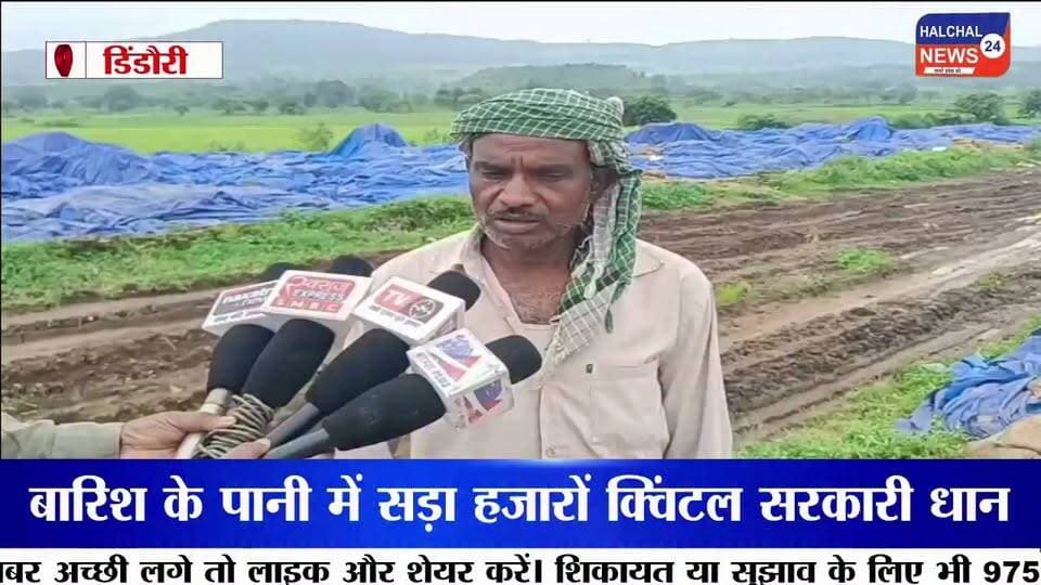 पानी में सड़ा हजारों क्विंटल सरकारी धान, खुले स्टेक में उगी फसल लाखों के नुकसान का दावा
डिंडौरी जिले के वेयर हाउस निगवानी में खुले में रखी सरकारी धान के बारिश में भीगकर खराब होने का मामला सामने आया है। यहां ओपन स्टेक में रखी कई बोरियां सड़ चुकी हैं, जबकि कुछ बोरियों में धान के अंकुर निकल आए हैं। बड़ी मात्रा में अनाज खराब होने से सरकारी संपत्ति को लाखों रुपये के नुकसान की आशंका जताई जा रही है।
जानकारी के मुताबिक वेयर हाउस में करीब 75 ओपन स्टेक बनाए गए हैं, जिनमें प्रत्येक स्टेक में लगभग 300 बोरी धान रखी गई है। मजदूरों के अनुसार करीब 15 हजार बोरियां खराब होने की बात सामने आई है। हालांकि नुकसान की वास्तविक मात्रा और आर्थिक क्षति का आधिकारिक आकलन अभी सामने आना बाकी है।
खराब और सही धान की हो रही छंटाई
बारिश के बाद अब मजदूर खराब और उपयोग योग्य धान को अलग-अलग करने में जुटे हैं। छंटाई के बाद जो धान उपयोग योग्य बच रही है, उसे मिलों तक भेजा जा रहा है। वहीं बड़ी संख्या में सड़ी और अंकुरित धान सरकारी अनाज के रखरखाव की व्यवस्था पर गंभीर सवाल खड़े कर रही है।
बारिश के मौसम में खुले में क्यों रखा गया अनाज?
सबसे बड़ा सवाल यह है कि बारिश के मौसम में इतनी बड़ी मात्रा में सरकारी धान को खुले स्टेक में रखने की नौबत क्यों आई? अनाज को बारिश और नमी से बचाने के पर्याप्त इंतजाम क्यों नहीं किए गए? और जब धान खराब होने लगी तो जिम्मेदार अधिकारियों ने समय रहते इसकी रोकथाम के लिए क्या कदम उठाए?
मामले में जिम्मेदारी तय करने और नुकसान का वास्तविक आकलन किए जाने की जरूरत है। यदि लापरवाही सामने आती है तो संबंधित जिम्मेदारों पर कार्रवाई की मांग भी उठ सकती है।
फिलहाल निगवानी वेयर हाउस में धान की छंटाई जारी है। अब निगाह प्रशासन की जांच और इस बात पर है कि सरकारी अनाज की बर्बादी के लिए जिम्मेदारी किसकी तय होती है।
#DindoriNews
#PaddyWastage
#MPNews
#GovernmentGrain
#Halchal24News Part 4