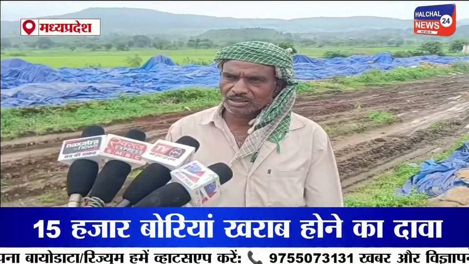 पानी में सड़ा हजारों क्विंटल सरकारी धान, खुले स्टेक में उगी फसल लाखों के नुकसान का दावा
डिंडौरी जिले के वेयर हाउस निगवानी में खुले में रखी सरकारी धान के बारिश में भीगकर खराब होने का मामला सामने आया है। यहां ओपन स्टेक में रखी कई बोरियां सड़ चुकी हैं, जबकि कुछ बोरियों में धान के अंकुर निकल आए हैं। बड़ी मात्रा में अनाज खराब होने से सरकारी संपत्ति को लाखों रुपये के नुकसान की आशंका जताई जा रही है।
जानकारी के मुताबिक वेयर हाउस में करीब 75 ओपन स्टेक बनाए गए हैं, जिनमें प्रत्येक स्टेक में लगभग 300 बोरी धान रखी गई है। मजदूरों के अनुसार करीब 15 हजार बोरियां खराब होने की बात सामने आई है। हालांकि नुकसान की वास्तविक मात्रा और आर्थिक क्षति का आधिकारिक आकलन अभी सामने आना बाकी है।
खराब और सही धान की हो रही छंटाई
बारिश के बाद अब मजदूर खराब और उपयोग योग्य धान को अलग-अलग करने में जुटे हैं। छंटाई के बाद जो धान उपयोग योग्य बच रही है, उसे मिलों तक भेजा जा रहा है। वहीं बड़ी संख्या में सड़ी और अंकुरित धान सरकारी अनाज के रखरखाव की व्यवस्था पर गंभीर सवाल खड़े कर रही है।
बारिश के मौसम में खुले में क्यों रखा गया अनाज?
सबसे बड़ा सवाल यह है कि बारिश के मौसम में इतनी बड़ी मात्रा में सरकारी धान को खुले स्टेक में रखने की नौबत क्यों आई? अनाज को बारिश और नमी से बचाने के पर्याप्त इंतजाम क्यों नहीं किए गए? और जब धान खराब होने लगी तो जिम्मेदार अधिकारियों ने समय रहते इसकी रोकथाम के लिए क्या कदम उठाए?
मामले में जिम्मेदारी तय करने और नुकसान का वास्तविक आकलन किए जाने की जरूरत है। यदि लापरवाही सामने आती है तो संबंधित जिम्मेदारों पर कार्रवाई की मांग भी उठ सकती है।
फिलहाल निगवानी वेयर हाउस में धान की छंटाई जारी है। अब निगाह प्रशासन की जांच और इस बात पर है कि सरकारी अनाज की बर्बादी के लिए जिम्मेदारी किसकी तय होती है।
#DindoriNews
#PaddyWastage
#MPNews
#GovernmentGrain
#Halchal24News Part 3