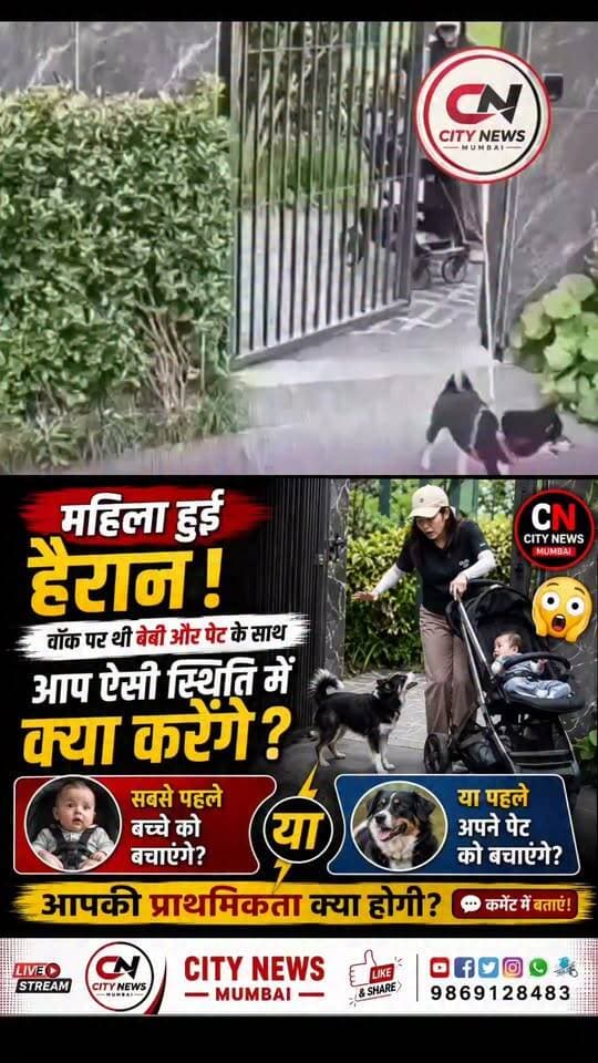 बच्चा, पालतू और अचानक सामने आया कुत्ता… 😨 ऐसी स्थिति में आप सबसे पहले किसे बचाएंगे—बच्चे को या अपने पालतू को? आपकी प्राथमिकता क्या होगी? कमेंट में बताएं। 👇
#Dog #DogAttack #BabySafety #PetLover #ViralVideo #ShockingVideo #CCTV #SafetyFirst #ViralNews #CityNewsMumbai #Foryou #fbreels #trendingreels