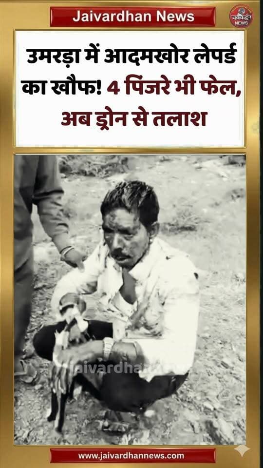 उमरड़ा में आदमखोर लेपर्ड का खौफ! 4 पिंजरे भी फेल, अब ड्रोन से तलाश
#udaipurnews #leopardterror #jaivardhannews