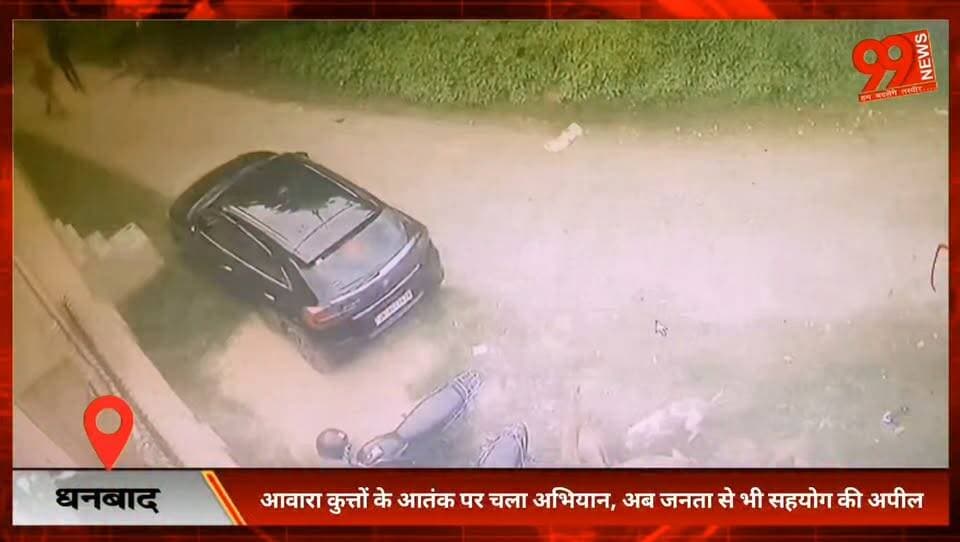 #धनबाद : #आवारा #कुत्तों के #आतंक पर चला #अभियान, अब जनता से भी #सहयोग की #अपील