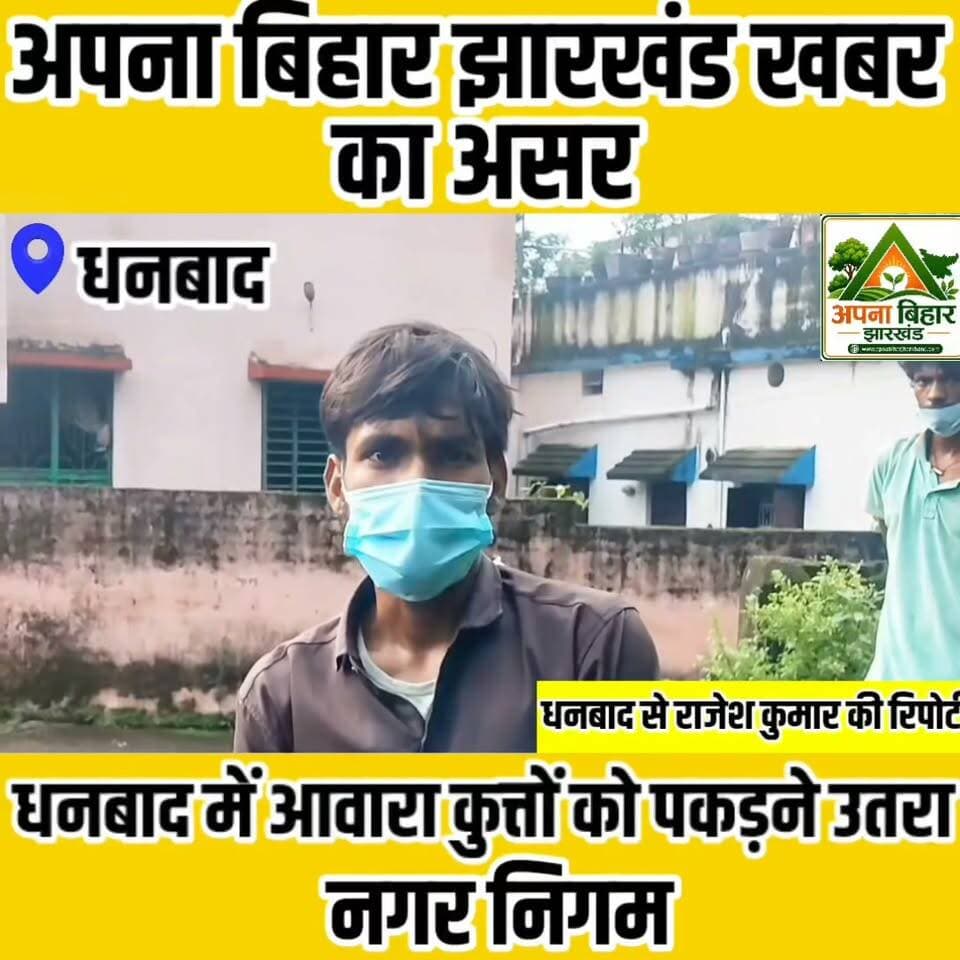 अपना बिहार झारखंड खबर का असर: धनबाद में आवारा कुत्तों को पकड़ने उतरा नगर निगम