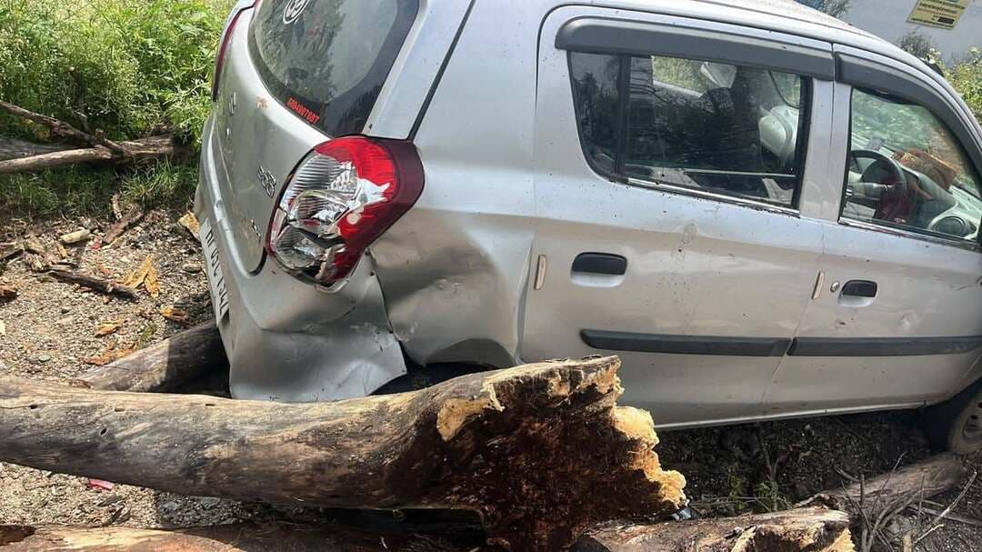 पालमपुर में पेड़ गिरने से गाड़ियों को नुकसान पंहुचा