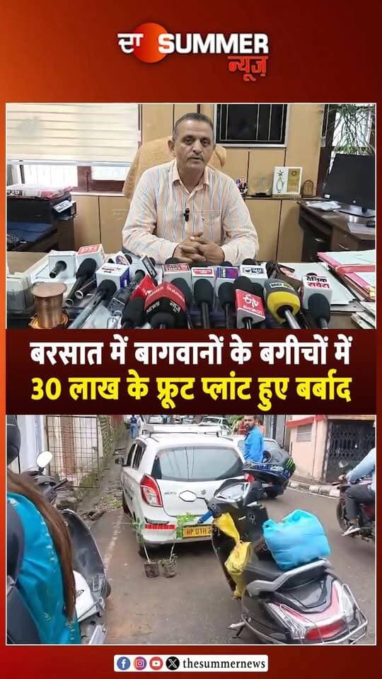 बरसात में बागवानों के बगीचों में 30 लाख के फ्रूट प्लांट हुए बर्बाद