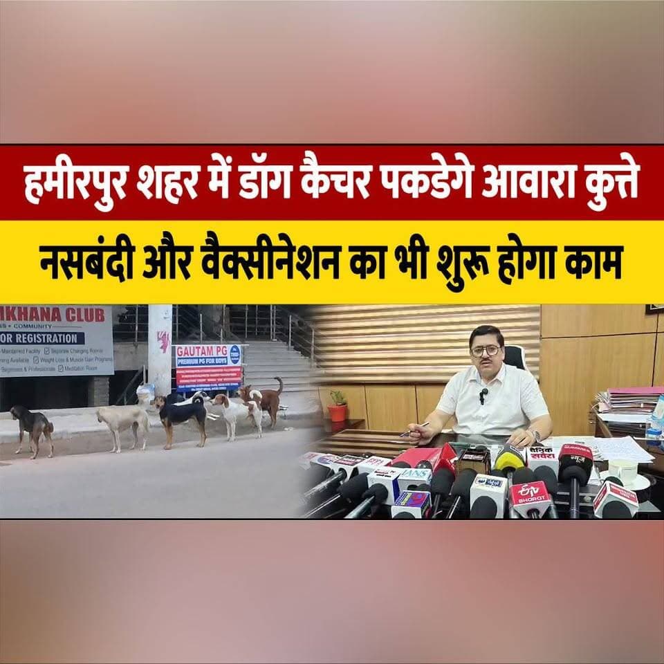 हमीरपुर शहर में डॉग कैचर पकडेगे आवारा कुत्ते
न. सबं. दी और वैक्सीनेशन का भी शुरू होगा काम