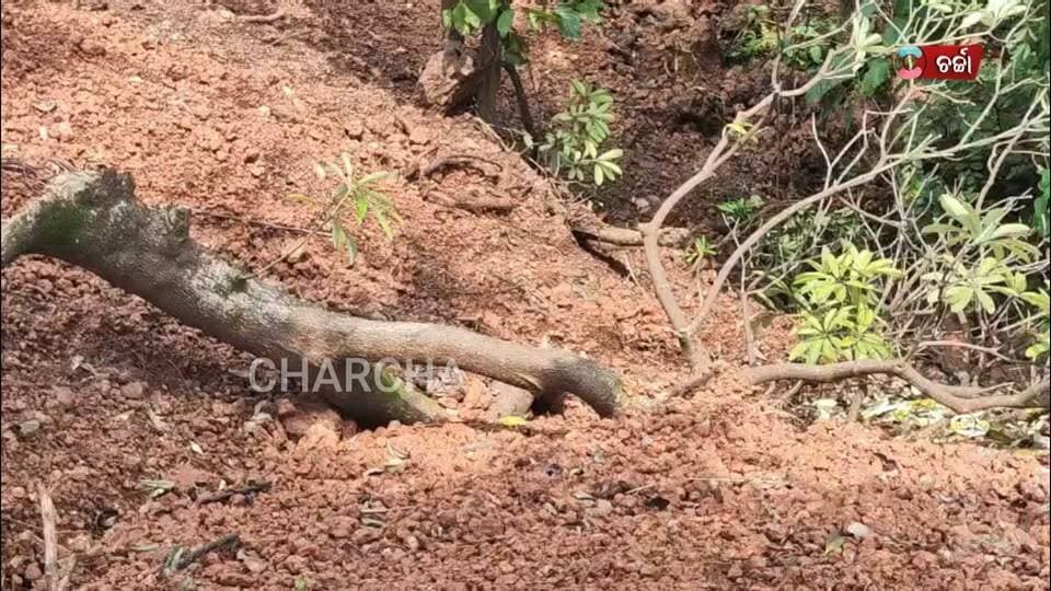 ଆର୍ସେଲର ମିତ୍ତଲ କମ୍ପାନୀର ମନମୁଖୀ କାର୍ଯ୍ୟ ଦୃଢ଼ କାର୍ଯ୍ୟାନୁଷ୍ଠାନ ଦାବି କଲା ବିଜୁଜନତା ଦଳ।