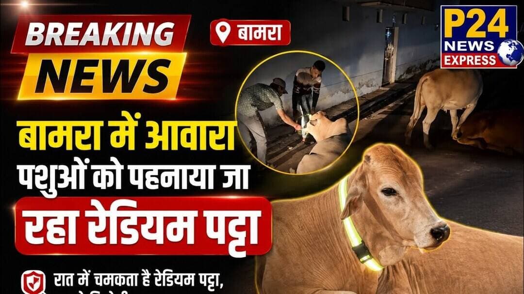बामरा में सड़क सुरक्षा और पशु संरक्षण की दिशा में यह एक सराहनीय पहल है। 🐄✨#Bamra #RoadSafety