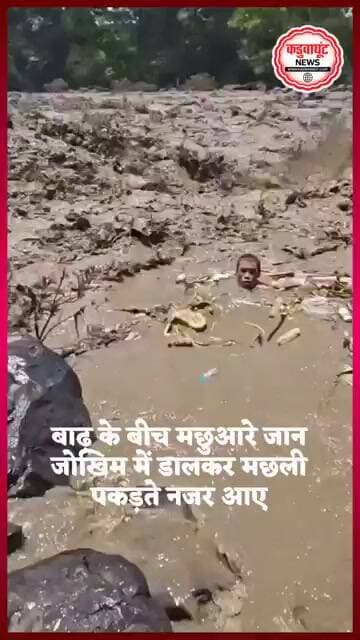 नेपाल में आई भीषण बाढ़ के बीच चौंकाने वाला दृश्य सामने आया है। #Nepal #viralvideo