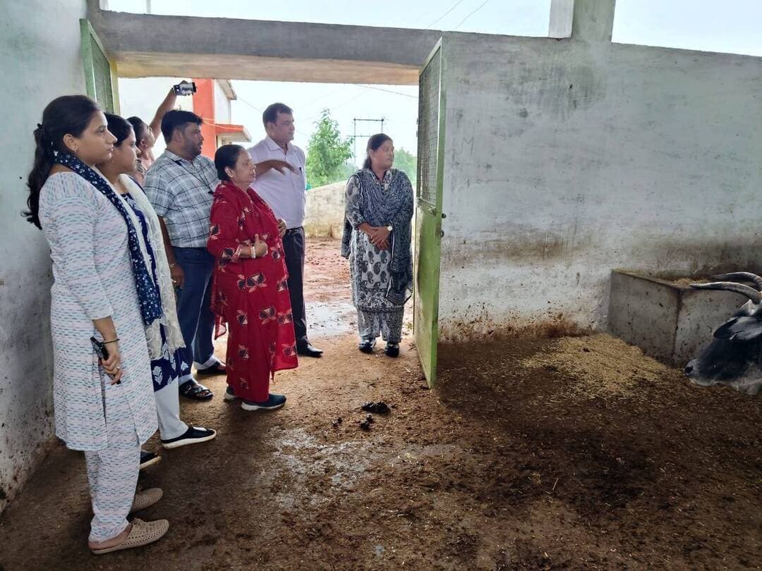 🔳बजरंग जैव संसाधन केंद्र बना ग्रामीण आजीविका सशक्तिकरण की नई मिसाल
🔳प्राकृतिक संसाधनों के सतत उपयोग से किसानों को मिली जैविक खाद-दवाइयां तो महिलाओं को मिला स्थानीय रोजगार का अवसर
🔳कटनी - जिले के बड़वारा विकासखंड के ग्राम पंचायत पठरा स्थित बजरंग गौशाला में संचालित बजरंग जैव संसाधन केंद्र (बीआरसी) स्थानीय प्राकृतिक संसाधनों के सतत प्रबंधन और ग्रामीण आजीविका सशक्तिकरण की दिशा में सामुदायिक पहल के रूप में महत्वपूर्ण भूमिका निभा रहा है। केंद्र द्वारा स्थानीय संसाधनों का बेहतर उपयोग करते हुए छोटे एवं सीमांत किसानों को जैविक कृषि से जोड़ते हुये उन्हें उचित मूल्य पर जैविक खाद एवं जैविक दवाईयां उपलब्ध कराई जा रहीं है।
*जैविक खाद और दवाइयों के लिए स्थानीय मंच*
उपसंचालक कृषि श्री खेलावन डेहरिया ने बताया कि बजरंग जैव संसाधन केंद्र (बीआरसी) द्वारा जैविक खाद एवं जैविक दवाइयों के उत्पादन और बाजार के बीच की दूरी को कम करने के लिए किसानों को तकनीकी मार्गदर्शन एवं प्रशिक्षण दिया जा रहा है। स्थानीय स्तर पर उपलब्ध संसाधनों से जैविक खाद और दवाइयां तैयार करने, उनकी गुणवत्ता, पैकेजिंग एवं भंडारण की जानकारी भी उपलब्ध कराई जाती है। केंद्र के माध्यम से तैयार जैव उत्पादों को किसानों तक उचित मूल्य पर पहुंचाने के साथ-साथ इनके प्रचार-प्रसार एवं बिक्री के लिए भी मंच उपलब्ध कराया जा रहा है। इससे किसानों की बिचौलियों पर निर्भरता कम करने और उत्पादन को बाजार की मांग से जोड़ने में मदद मिल रही है।
*कृषि विभाग और मानव जीवन विकास समिति का सहयोग*
बजरंग जैव संसाधन केंद्र का संचालन कृषि एवं किसान कल्याण विभाग, कटनी तथा मानव जीवन विकास समिति के सामूहिक तत्वावधान में किया जा रहा है। कृषि विभाग द्वारा वित्तीय सहयोग दिया जा रहा है, जबकि मानव जीवन विकास समिति केंद्र के संचालन, तकनीकी सहयोग एवं प्रबंधन की जिम्मेदारी संभाल रही है।
*250 किसान सीधे जुड़े, 65 किसानों ने लिया लाभ*
उपसंचालक कृषि श्री डेहरिया ने बताया कि केंद्र में फसल की आवश्यकता और मौसम के अनुसार 16 प्रकार की जैविक खाद एवं जैविक कीटनाशक तैयार कर उपलब्ध कराए जाते हैं। किसान अपनी आवश्यकता के अनुसार यहां से जैविक खाद एवं दवाइयां प्राप्त कर रहे हैं। कृषि विभाग के सहयोग से संचालित (एनएमएनएफ) योजना के अंतर्गत पठरा एवं रोहनिया के दो क्लस्टरों के करीब 250 किसान इस केंद्र से जुड़े हुए हैं। वर्तमान मौसम में अब तक 65 किसान बीआरसी से जैविक खाद एवं दवाइयां प्राप्त कर चुके हैं और अन्य किसानों को भी जैविक उत्पादों के उपयोग के लिए प्रेरित कर रहे हैं।
*महिलाओं की भागीदारी से बढ़ी आजीविका*
बीआरसी केंद्र की सबसे महत्वपूर्ण विशेषता इसमें महिलाओं की सक्रिय सहभागिता है। समूह की महिलाओं द्वारा केंद्र में जैविक खाद एवं दवाइयों का निर्माण किया जा रहा है। इससे एक ओर महिलाओं के लिए स्थानीय स्तर पर आजीविका के अवसर तैयार हो रहे हैं, वहीं दूसरी ओर किसानों को गांव के नजदीक ही जरूरत के अनुसार जैविक कृषि सामग्री उपलब्ध हो रही है।
*स्थानीय संसाधनों से स्थानीय उद्यम तक*
बीआरसी केंद्र यह दर्शाता है कि स्थानीय प्राकृतिक संसाधनों को सामूहिक प्रयास, प्रसंस्करण, मूल्य संवर्धन, ब्रांडिंग और बाजार संपर्क से जोड़कर ग्रामीण समुदाय के लिए आय एवं आजीविका का प्रभावी साधन बनाया जा सकता है। केंद्र के माध्यम से किसानों को अपने गांव में ही जैविक खाद एवं दवाइयां उपलब्ध होने से समय और लागत दोनों में लाभ मिल रहा है।
*भविष्य में व्यापक किसान-आधारित केंद्र बनाने की दिशा*
उपसंचालक कृषि श्री डेहरिया ने बताया कि भविष्य में बीआरसी को केवल 250 किसानों तक सीमित न रखते हुए एक व्यापक किसान-आधारित व्यावसायिक एवं विपणन केंद्र के रूप में विकसित करने की दिशा में संभावनाएं हैं। इसके माध्यम से किसानों को उत्पाद विकास, गुणवत्ता मानक, प्रसंस्करण, आकर्षक पैकेजिंग, ब्रांडिंग और डिजिटल मार्केटिंग जैसी सुविधाओं से जोड़ा जा सकता है। इस पहल के विस्तार से अधिक किसानों को प्रशिक्षण एवं तकनीकी सहयोग मिलने के साथ उनके उत्पादों की गुणवत्ता और बाजार प्रतिस्पर्धा में सुधार की संभावना है। साथ ही किसानों को अपने उत्पादों का बेहतर मूल्य प्राप्त करने और स्थानीय उत्पादों को बड़े एवं डिजिटल बाजारों से जोड़ने में BRC महत्वपूर्ण भूमिका निभा सकता है।
#JansamparkMP
#CMMadhyaPradesh
#DrMohanYadav51
#udaypratapmp
#jbpcommissioner
#katni
#कटनी