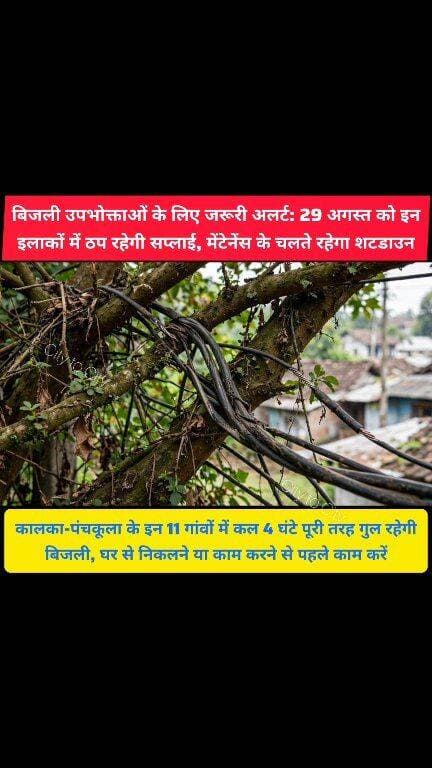 कालका में चूक गए तो पछताएंगे, शनिवार सुबह 10 से दोपहर 2 बजे तक
इन इलाकों में भूलकर भी न करें जरूरी काम, बिजली रहेगी ठप
#kalka #pinjore #haryana #panchkula #news