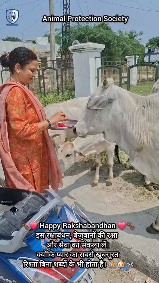 रिश्ते सिर्फ इंसानों से नहीं, बेज़ुबानों से भी होते हैं… ❤️🐾
इस रक्षाबंधन पर हमने अपने प्यारे पशु साथियों के साथ प्यार और सुरक्षा का बंधन मनाया। 🐶🐄🦜
क्योंकि **हर बेज़ुबान भी प्यार, सम्मान और संरक्षण का हकदार है।** 🙏❤️
#RakshaBandhan #AnimalLove #SaveAnimals #BeKind #pashuseva