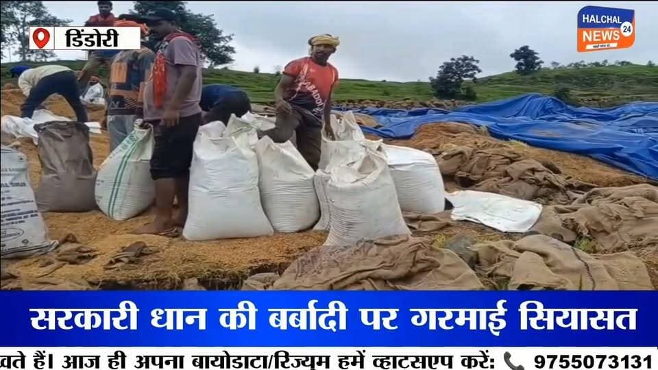 पानी में हजारों क्विंटल धान सड़ा, विधायक ने लिया संज्ञान– जिम्मेदारों पर कार्रवाई की मांग
डिंडौरी जिले के निगवानी वेयर हाउस में खुले में रखे सरकारी धान के बारिश और पानी की चपेट में आकर खराब होने का मामला अब तूल पकड़ता जा रहा है। बड़ी मात्रा में धान के खराब होने की तस्वीरें सामने आने के बाद सरकारी अनाज के रखरखाव की व्यवस्था पर सवाल खड़े हो गए हैं।
मामले को प्रमुखता से सामने लाए जाने के बाद कांग्रेस विधायक ओमकार मरकाम ने संज्ञान लेते हुए इसे गंभीर मामला बताया है। उन्होंने सरकार और प्रशासन से पूरे प्रकरण की जांच कराने तथा लापरवाही बरतने वाले अधिकारियों और कर्मचारियों की जवाबदेही तय कर सख्त कार्रवाई की मांग की है।
खुले में रखा अनाज बारिश में हुआ खराब
निगवानी वेयर हाउस के ओपन स्टेक में रखी धान की बोरियां बारिश और पानी से प्रभावित हुई हैं। कई बोरियों में धान खराब होने की जानकारी सामने आई है। बड़ी मात्रा में सरकारी अनाज के खराब होने से शासन को आर्थिक नुकसान की आशंका जताई जा रही है।
अब सवाल यह उठ रहा है कि बारिश के मौसम में इतनी बड़ी मात्रा में धान को खुले में रखने की जरूरत क्यों पड़ी? अनाज को सुरक्षित रखने के लिए जिम्मेदार विभाग ने क्या इंतजाम किए थे और समय रहते खराब हो रहे अनाज को सुरक्षित क्यों नहीं किया गया?
विधायक ने उठाई जिम्मेदारी तय करने की मांग
विधायक ओमकार मरकाम ने मामले में जिम्मेदार अधिकारियों और कर्मचारियों की भूमिका की जांच की मांग की है। उनका कहना है कि सरकारी अनाज की इस तरह बर्बादी को गंभीरता से लिया जाना चाहिए और यदि जांच में लापरवाही सामने आती है तो संबंधित लोगों के खिलाफ कार्रवाई होनी चाहिए।
जांच के बाद सामने आएगी पूरी तस्वीर
फिलहाल धान के खराब होने की वास्तविक मात्रा और इससे हुए आर्थिक नुकसान का आधिकारिक आकलन सामने आना बाकी है। अब निगाह प्रशासन की जांच पर है कि मामले में नुकसान का कितना आंकलन होता है और क्या जिम्मेदार अधिकारियों-कर्मचारियों पर कार्रवाई की जाती है या नहीं।
सरकारी अनाज की बर्बादी ने एक बड़ा सवाल जरूर खड़ा कर दिया है—धान बारिश में कैसे सड़ा और इसकी जिम्मेदारी आखिर किसकी है?
#DindoriNews
#PaddyWastage
#MPNews
#GovernmentNegligence
#Halchal24News Part 11