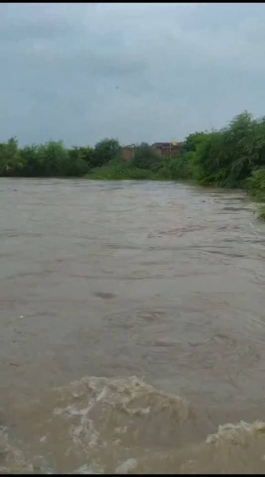 Satnanews. बिरसिंहपुर सितावा नदी,बिरसिंहपुर की निचली बस्तियों के हाल देखिए