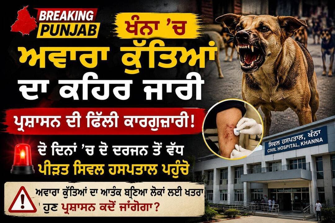 ਕੁੱਤੇ ਮਸਤ, ਪ੍ਰਸ਼ਾਸ਼ਨ ਪਸਤ...
<nis:link nis:type=tag nis:id=dog nis:value=dog nis:enabled=true nis:link/> <nis:link nis:type=tag nis:id=doglover nis:value=doglover nis:enabled=true nis:link/> <nis:link nis:type=tag nis:id=humanity nis:value=humanity nis:enabled=true nis:link/> <nis:link nis:type=tag nis:id=viralreels nis:value=viralreels nis:enabled=true nis:link/> <nis:link nis:type=tag nis:id=news nis:value=news nis:enabled=true nis:link/> <nis:link nis:type=tag nis:id=update nis:value=Update nis:enabled=true nis:link/> <nis:link nis:type=tag nis:id=dogbites nis:value=dogbites nis:enabled=true nis:link/>