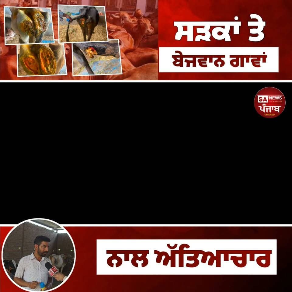 🐄 ਜ਼ਖ਼ਮੀ ਗਊ ਮਾਤਾ ਮਿਲੇ ਤਾਂ ਤੁਰੰਤ ਕਰੋ ਸੰਪਰਕ — ਸੁੱਖੇ ਮਾਜਰਾ ਗਊਸ਼ਾਲਾ ਦੀ ਵੱਡੀ ਅਪੀਲ
ਸੁੱਖੇ ਮਾਜਰਾ ਗਊਸ਼ਾਲਾ ਦੇ ਸੇਵਾਦਾਰ ਅਤੇ ਸਰਪੰਚ ਰਾਮਧਨ ਜੀ ਨੇ ਖ਼ਾਸ ਗੱਲਬਾਤ ਦੌਰਾਨ ਨੂਰਪੁਰ ਬੇਦੀ ਅਤੇ ਆਸ-ਪਾਸ ਦੇ ਇਲਾਕੇ ਦੇ ਲੋਕਾਂ ਨੂੰ ਅਪੀਲ ਕੀਤੀ ਹੈ ਕਿ ਜੇਕਰ ਕੋਈ ਵੀ ਗਊ ਮਾਤਾ ਜ਼ਖ਼ਮੀ ਹਾਲਤ ਵਿੱਚ ਮਿਲਦੀ ਹੈ, ਤਾਂ ਉਸਨੂੰ ਇਕੱਲਾ ਨਾ ਛੱਡਿਆ ਜਾਵੇ ਅਤੇ ਤੁਰੰਤ ਗਊਸ਼ਾਲਾ ਨਾਲ ਸੰਪਰਕ ਕੀਤਾ ਜਾਵੇ।
ਉਨ੍ਹਾਂ ਕਿਹਾ ਕਿ ਜ਼ਖ਼ਮੀ ਗਊ ਮਾਤਾ ਦੀ ਸੇਵਾ ਅਤੇ ਇਲਾਜ ਲਈ ਜੋ ਵੀ ਸੰਭਵ ਹੋਵੇਗਾ, ਉਹ ਕਰਨ ਦੀ ਪੂਰੀ ਕੋਸ਼ਿਸ਼ ਕੀਤੀ ਜਾਵੇਗੀ। ਸਾਡਾ ਫ਼ਰਜ਼ ਹੈ ਕਿ ਬੇਸਹਾਰਾ ਅਤੇ ਜ਼ਖ਼ਮੀ ਪਸ਼ੂਆਂ ਦੀ ਮਦਦ ਲਈ ਅੱਗੇ ਆਈਏ।
ਗਊ ਨੂੰ ਸਾਡੇ ਸਮਾਜ ਵਿੱਚ ਮਾਤਾ ਦਾ ਦਰਜਾ ਦਿੱਤਾ ਜਾਂਦਾ ਹੈ ਅਤੇ ਗਾਂ ਦੇ ਦੁੱਧ ਰਾਹੀਂ ਮਨੁੱਖੀ ਜੀਵਨ ਦੇ ਪਾਲਣ-ਪੋਸ਼ਣ ਵਿੱਚ ਵੀ ਮਹੱਤਵਪੂਰਨ ਯੋਗਦਾਨ ਹੈ।
📞 ਸੰਪਰਕ ਨੰਬਰ: 82838 37680
❤️ ਤੁਹਾਡਾ ਇੱਕ ਲਾਈਕ ਅਤੇ ਸ਼ੇਅਰ ਕਿਸੇ ਗਊ ਮਾਤਾ ਦੀ ਜਾਨ ਬਚਾਉਣ ਵਿੱਚ ਮਦਦ ਕਰ ਸਕਦਾ ਹੈ।
ਇਸ ਪੋਸਟ ਨੂੰ ਵੱਧ ਤੋਂ ਵੱਧ ਸ਼ੇਅਰ ਕਰੋ ਤਾਂ ਜੋ ਜ਼ਰੂਰਤਮੰਦ ਗਊ ਮਾਤਾ ਤੱਕ ਸਮੇਂ ਸਿਰ ਮਦਦ ਪਹੁੰਚ ਸਕੇ।
#SukhkeMajraGaushala #NoorpurBedi #GauSeva #GauMata #RoparPunjab