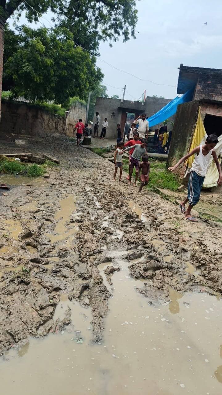 #शाहजहांपुर जनपद के #मदनापुर_ब्लॉक क्षेत्र के गांव #बिरिया_खुर्द की स्थिति है।#प्राथमिक_विद्यालय के लिए जाने #वाली_गली हैं दोनों।#आखिर यहां तक #विकास क्यों #नहीं पहुंच सका।
युवा नेता पीयूष सिंह ने ग्रामीणों के साथ गांव की गली में धान रोप कर जताया विरोध।