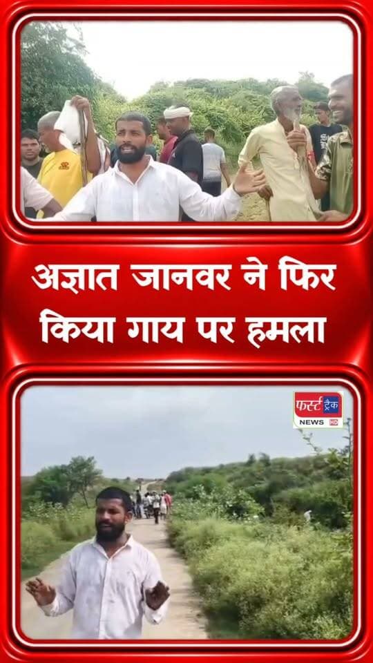 धौलपुर के चीलपुरा गाँव में अज्ञात जानवर ने फिर गाय को बनाया शिकार। ग्रामीणों में डर का माहौल। इस पर आपकी क्या प्रतिक्रिया है? #BreakingNews #DholpurUpdates #AnimalAttack
@topfans
FirstTrack Rajakhera
Farooqui Dholpur
District Collector & Magistrate - Dholpur
Rohit Bohra