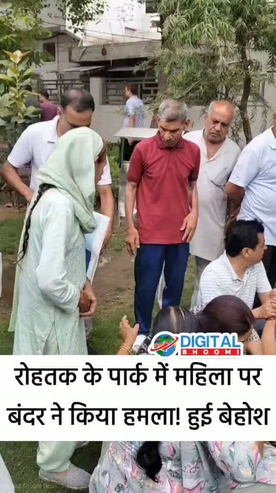 रोहतक के पार्कों में बंदरों का आतंक! शहीद महावीर पार्क में महिला पर पीछे से झपटा बंदर, हुई बेहोश; लोगों ने बचाया, नगर निगम से बंदर पकड़ने की मांग
#haryana #rohtak #news #DB
