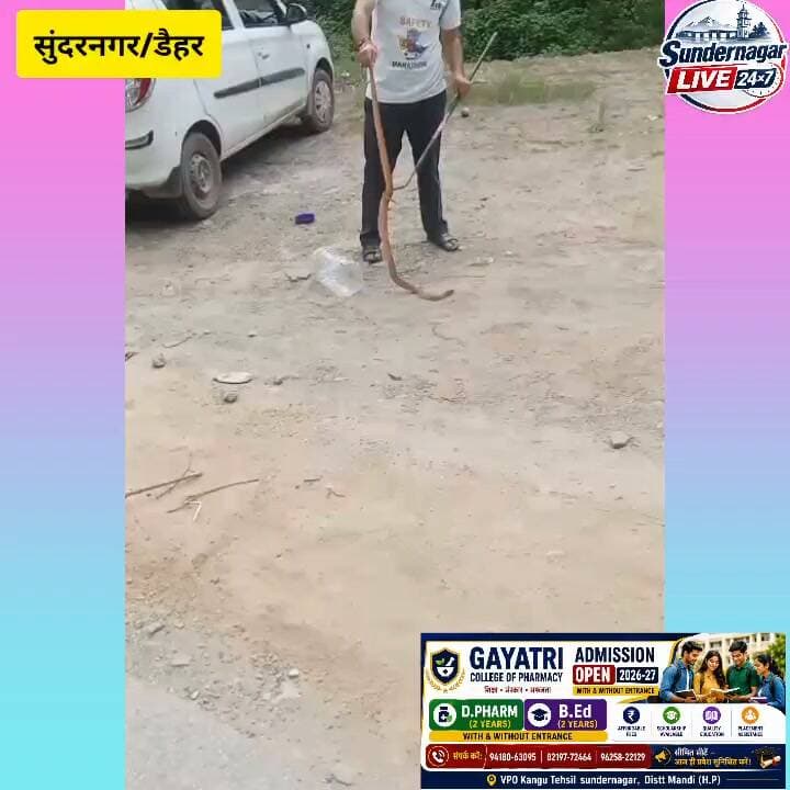 सुंदरनगर के अलसू (गासीनाला) में दुकान के अंदर से लगभग 6 फीट लंबे सांप(सोतड़) को वन विभाग सुंदरनगर के कर्मचारी द्वारा किया सफल रेस्क्यू ।
