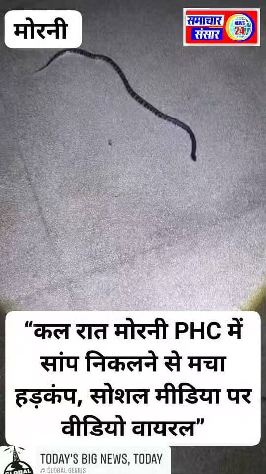 कल रात मोरनी PHC में सांप निकलने से स्टाफ में हड़कंप, सोशल मीडिया पर वीडियो वायरल
मोरनी। प्राथमिक स्वास्थ्य केंद्र (PHC) मोरनी में सांप निकलने का वीडियो सोशल मीडिया पर वायरल हो रहा है। बताया जा रहा है कि घटना के दौरान नर्सिंग ऑफिसर की ड्यूटी थी, जबकि ड्यूटी पर डॉ. आकाश सानी मौजूद थे। अस्पताल परिसर में सांप दिखाई देने के बाद स्टाफ में हड़कंप मच गया।
वायरल वीडियो में अस्पताल परिसर में सांप दिखाई दे रहा है। घटना के बाद स्वास्थ्य केंद्र में कार्यरत कर्मचारियों और मरीजों में भी चिंता का माहौल बन गया। हालांकि, सांप को लेकर स्वास्थ्य विभाग की ओर से आधिकारिक जानकारी सामने नहीं आई है।
स्थानीय लोगों ने स्वास्थ्य केंद्र परिसर की साफ-सफाई और सुरक्षा व्यवस्था को लेकर उचित कदम उठाने की मांग की है, ताकि भविष्य में इस तरह की घटना से किसी कर्मचारी या मरीज को खतरा न हो।