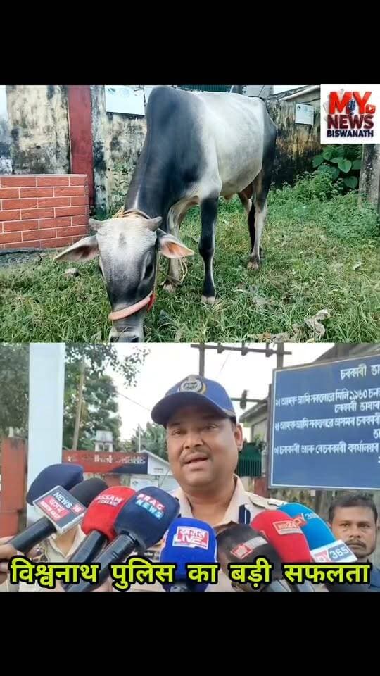 #विश्वनाथ पुलिस का बड़ी सफलता
👉विश्वनाथ में गौ-चोर गिरफ्तार, 6 महीने पहले चोरी हुई 2 गायें बरामद
👉बिश्वनाथ पुलिस ने गुप्त अभियान चलाकर एक गौ-चोर को गिरफ्तार किया और 6 महीने पहले चोरी हुई दो गायों को बरामद करने में सफलता हासिल की
👉विश्वनाथ के वरिष्ठ पुलिस अधीक्षक आसिफ अहमद के नेतृत्व में इन पशुओं को मालिक को सौंप दिया गया।
#CM #police #highlight #Biswanath