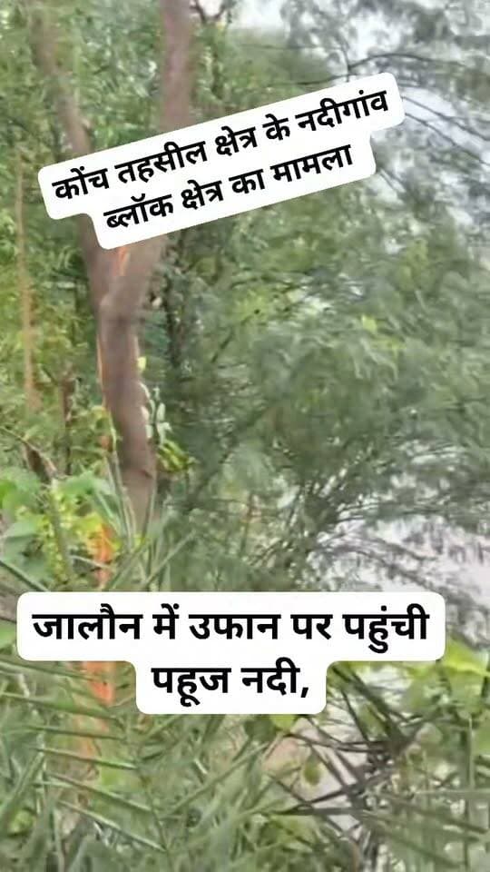 ब्रेकिंग जालौन में उफान पर पहुंची पहूज नदी,
नदी में पानी बढ़ने से 18 गांवों की बिजली गुल,
धीरे-धीरे गांवों की ओर बढ़ रहा पानी,
कोंच तहसील क्षेत्र के नदीगांव ब्लॉक क्षेत्र का मामला। #jalaunnews #UPNews #UttarPradesh #BreakingNews #jalaun #UPPolice #dmjalaun
