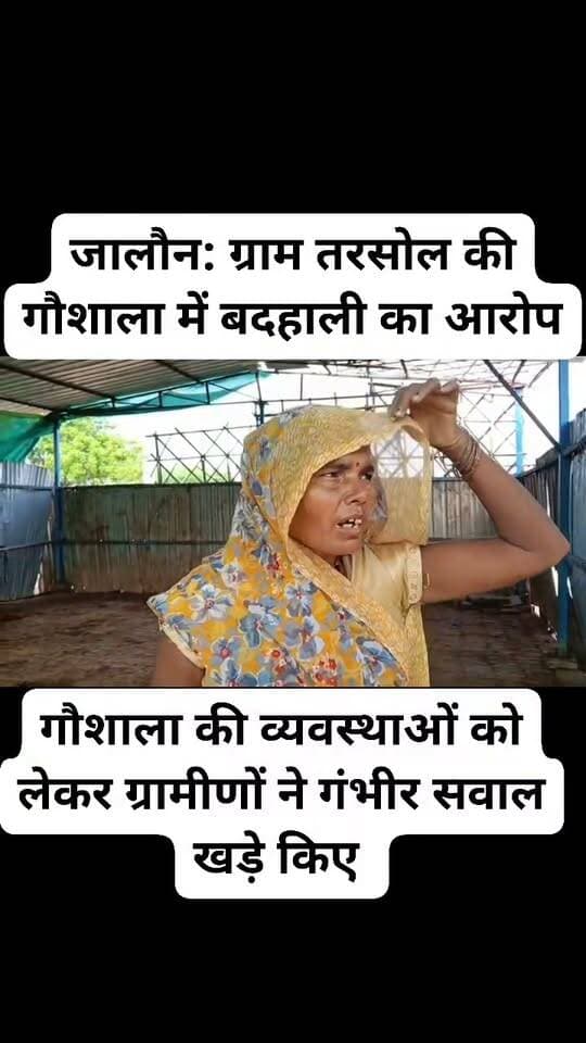 जालौन: ग्राम तरसोल की गौशाला में बदहाली! हरे चारे और भूसे के अभाव में गौवंश बेहाल, ग्रामीणों ने प्रधान पर लगाए गंभीर आरोप
जालौन। जनपद जालौन के ग्राम तरसोल में संचालित गौशाला की व्यवस्थाओं को लेकर ग्रामीणों ने गंभीर सवाल खड़े किए हैं। ग्रामीणों का आरोप है कि गौशाला में गौवंशों के लिए पर्याप्त हरा चारा और भूसा उपलब्ध नहीं कराया जा रहा है, जिसके चलते कई गौवंश भूख और बदहाली का सामना कर रहे हैं।
ग्रामीणों के मुताबिक गौशाला की व्यवस्थाओं को लेकर कागजों में कुछ और तस्वीर दिखाई जाती है, जबकि मौके पर हालात इसके उलट नजर आते हैं। ग्रामीणों का आरोप है कि गौवंशों के लिए नियमित रूप से पर्याप्त चारा उपलब्ध नहीं कराया जा रहा है।
मौके पर पहुंचकर स्थिति देखे जाने पर गौवंशों की हालत खराब नजर आई। ग्रामीणों ने ग्राम प्रधान पर गौशाला की व्यवस्थाओं में लापरवाही के गंभीर आरोप लगाए हैं। उनका कहना है कि जिम्मेदार अधिकारियों द्वारा समय-समय पर गौशाला का निरीक्षण किया जाता है, इसके बावजूद व्यवस्थाओं में अपेक्षित सुधार नहीं हो रहा है।
ग्रामीणों ने प्रशासन से पूरे मामले की जांच कराकर गौशाला में उपलब्ध चारे, भूसे और अन्य व्यवस्थाओं का सत्यापन कराने की मांग की है। साथ ही दोषी पाए जाने पर संबंधित जिम्मेदारों के खिलाफ कार्रवाई की मांग उठाई है।