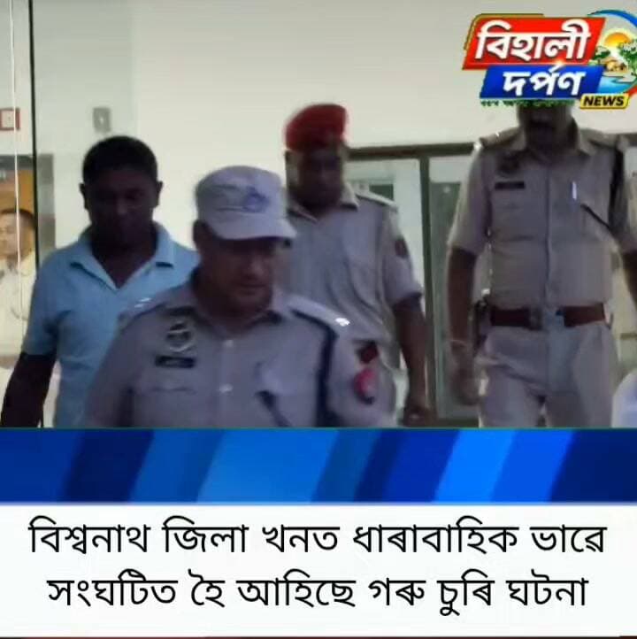 বিশ্বনাথত গৰু চোৰ আটক, ৬ মাহ পূৰ্বে চুৰি হোৱা ২ টা গৰু উদ্ধাৰ কৰি চমজাই দিলে গৰাকীক*✅✅✅#behalidarpan