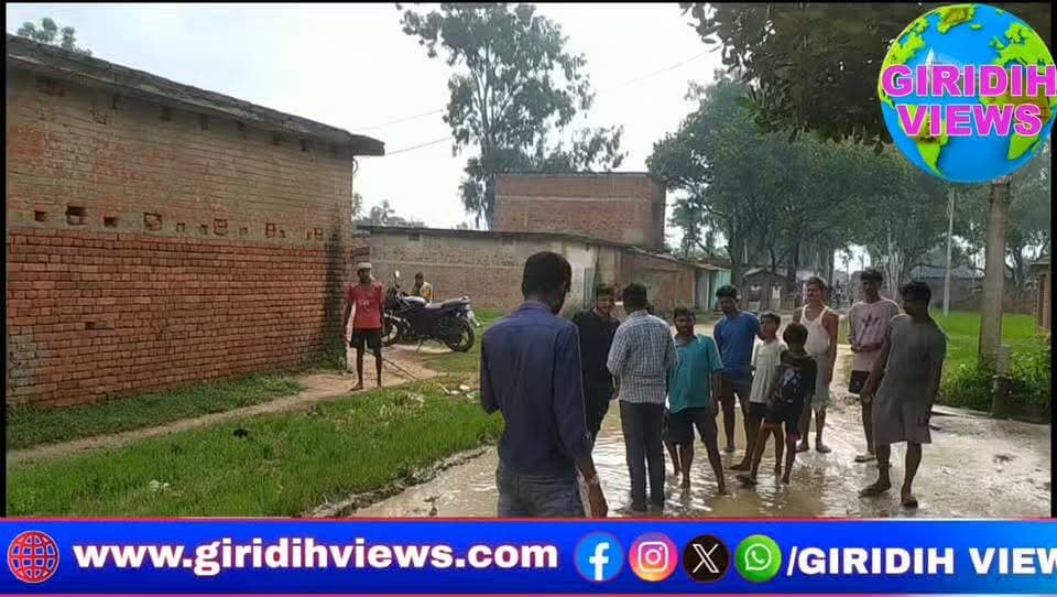 80 साल बाद भी नहीं बनी बेलाटांड़ की सड़क! महिलाओं ने बीच सड़क पर रोपा धान, जताया अनोखा विरोध... #giridihviews #giridih #Giridihnewsupdate #dcgiridih #giridihjharkhand #giridihnewsline #dc #chatro #giridihjharkhand #jmm