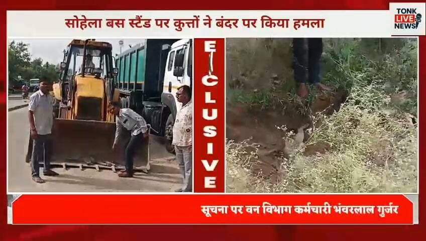 सोहेला बस स्टैंड पर कुत्तों ने बंदर पर किया हमला
कुत्तों के हमले में बंदर की मौत।
#Sohala #Tonk #TonkNews #BreakingNews #MonkeyDeath #DogAttack #AnimalNews #LocalNews #RajasthanNews #TonkLiveNews #ViralNews #LatestNews #RajasthanBreaking #AnimalProtection #NewsUpdate