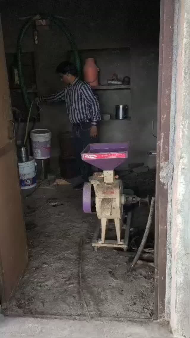 पिपली में दिनदहाड़े नजर आया धामन सांप, धनेतकलां के सर्प प्रेमी रमेश चंद्र ने किया सुरक्षित रेस्क्यू, जंगल में छोड़ा
