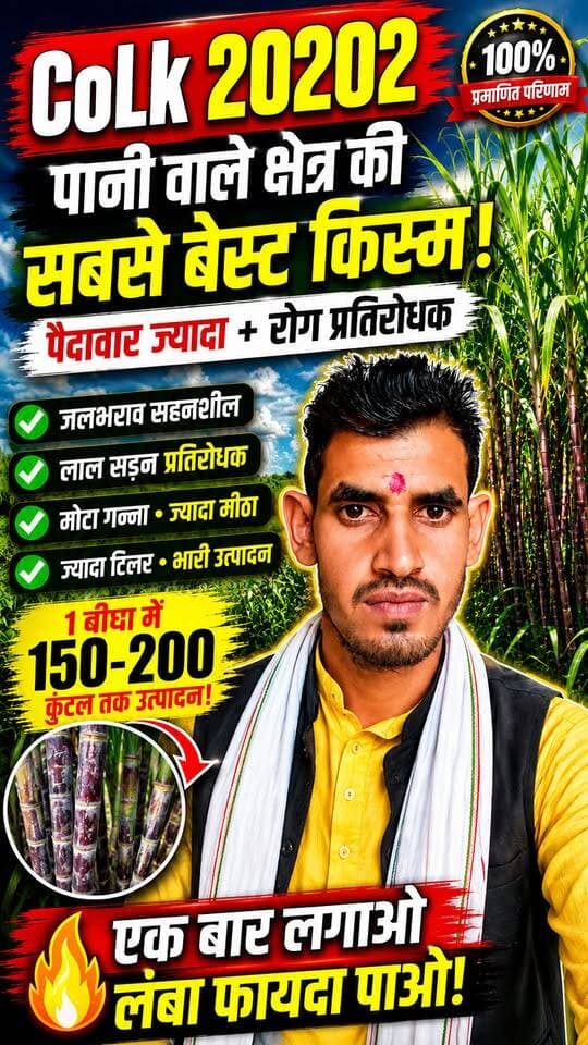CoLk 20202 गन्ने की नई किस्म 🌾 पानी वाले खेत में जबरदस्त प्रदर्शन! | मोटा गन्ना + ज्यादा पैदावार
#CoLk20202 #गन्ना #गन्नेकीखेती #SugarcaneFarming #SugarcaneVariety