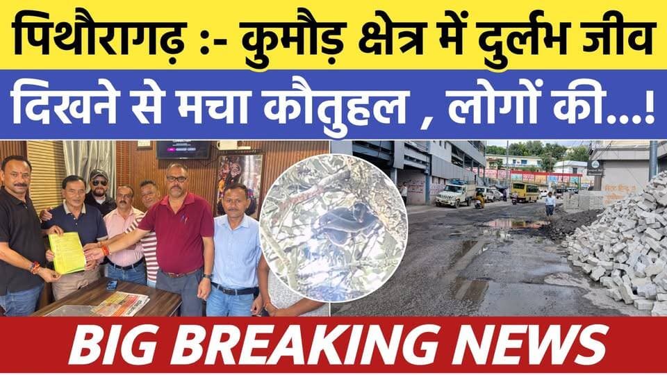 Pithoragarh news :- कुमौड़ क्षेत्र में दिखा दुर्लभ जीव , मचा कौतुहल का माहौल | Soar samachar